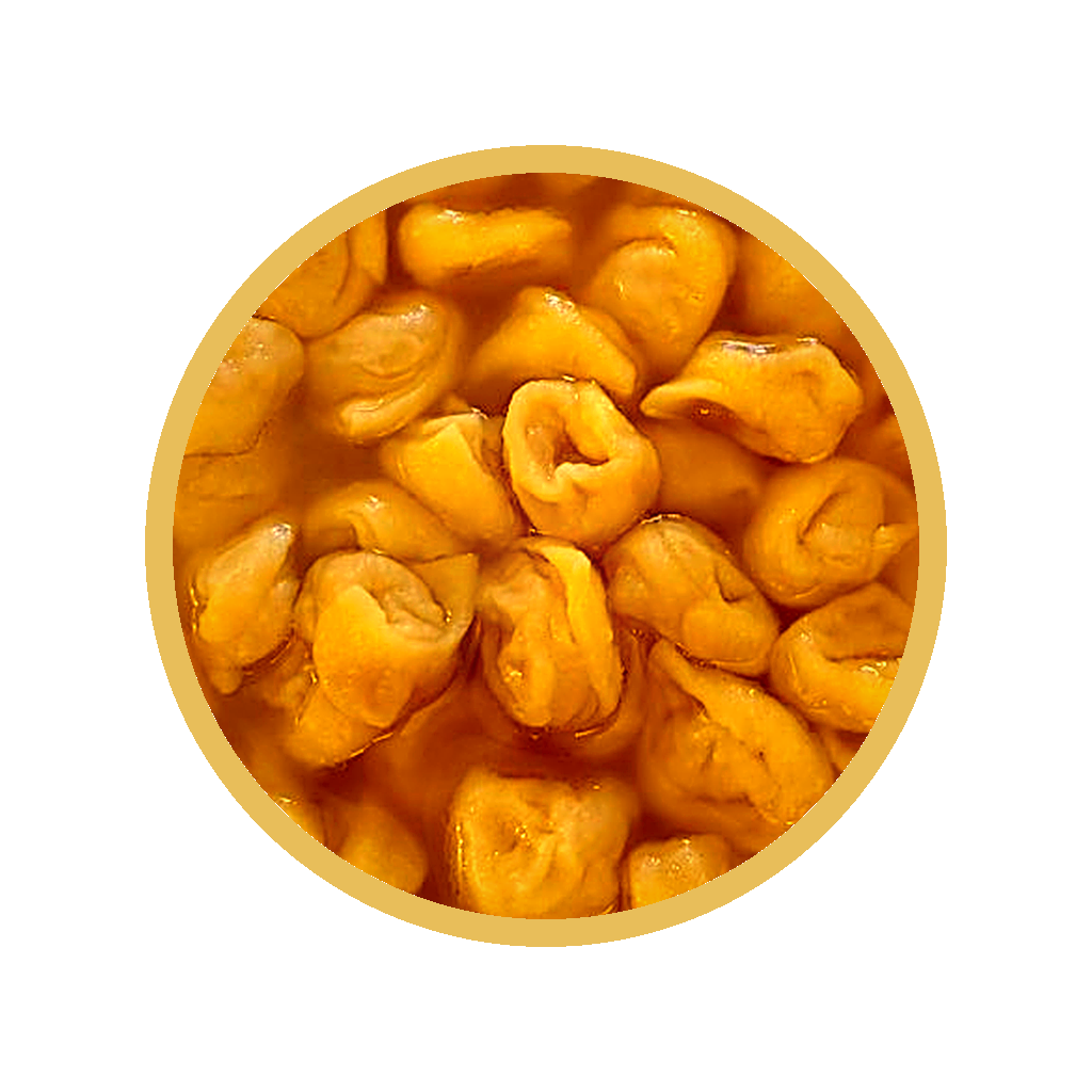 Magnificent Tortellini Studio logo